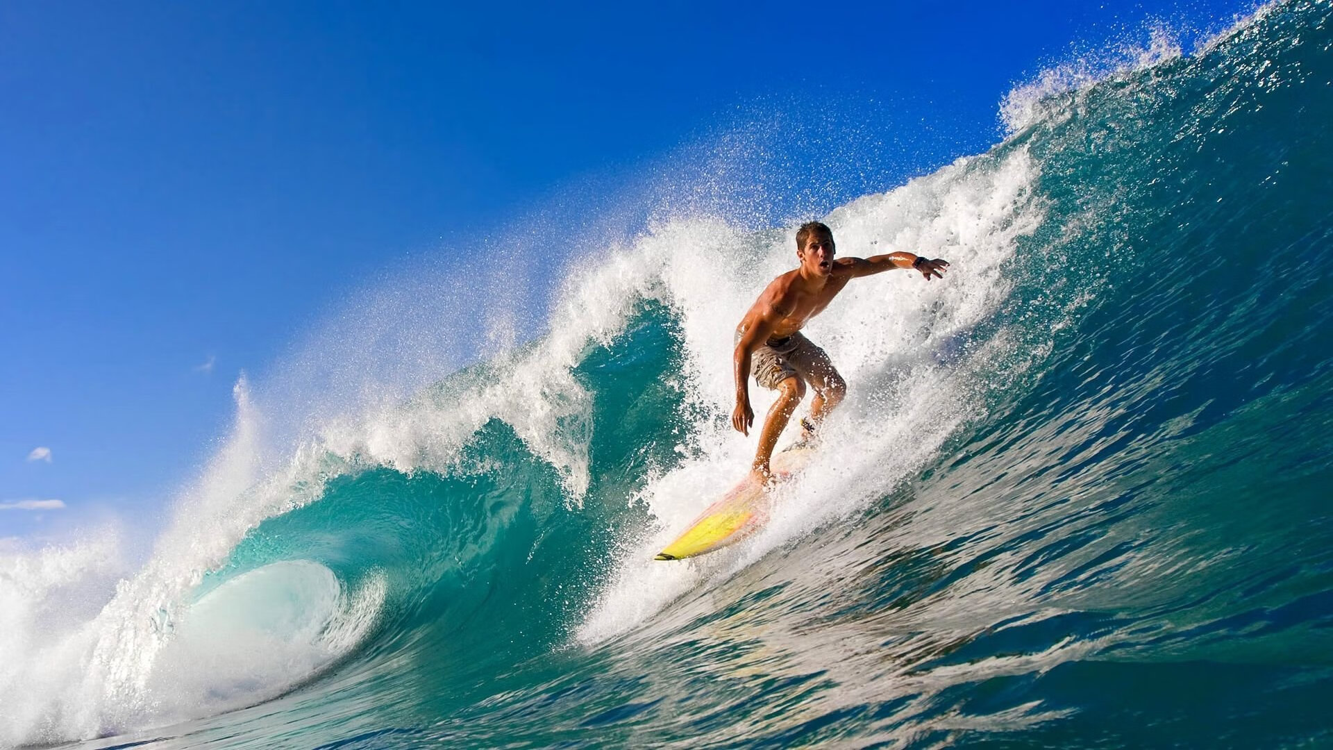 德甲紧张对决，比分4-3，明星球员梅开二度，关键数据领先，德甲对抗